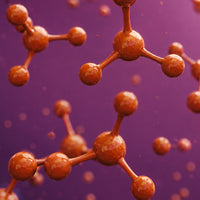 Hydrolysed Wheat Protien