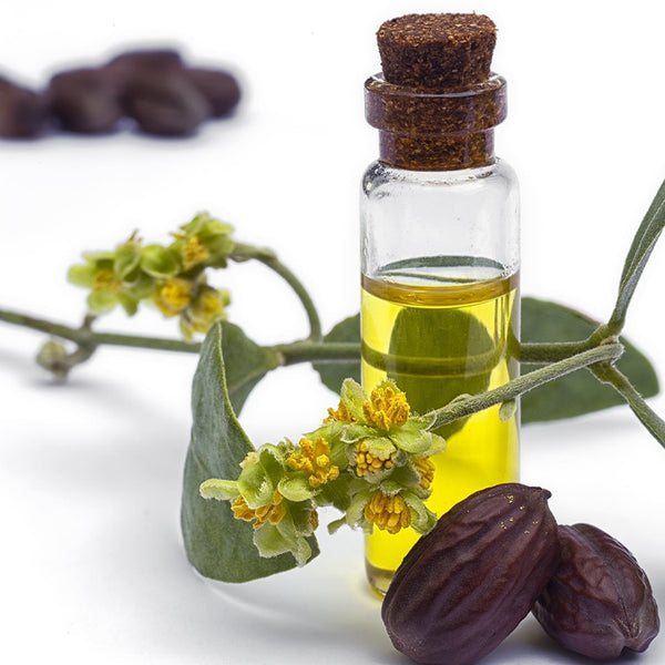 JOJOBA SEED OIL